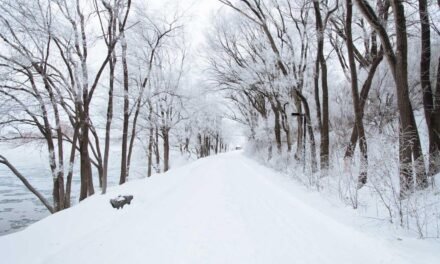 Laboriosam deleniti est quis