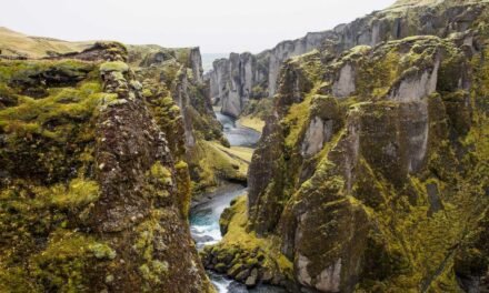 Ut dicta sed impedit tenetur facere eaque