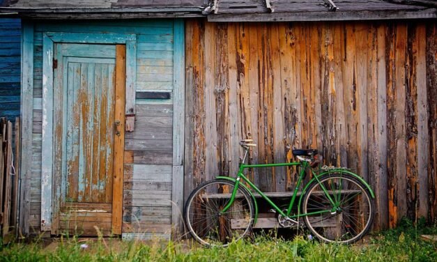 Mollitia omnis autem asperiores qui