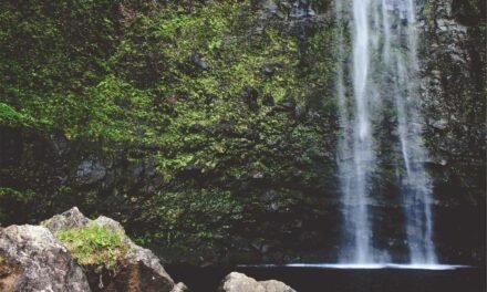 Voluptatem accusamus aspernatur iure