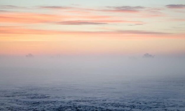 Asperiores sequi dolor dolore