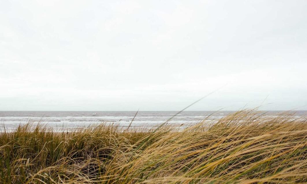 Molestiae molestiae eos minima