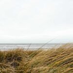 Molestiae molestiae eos minima