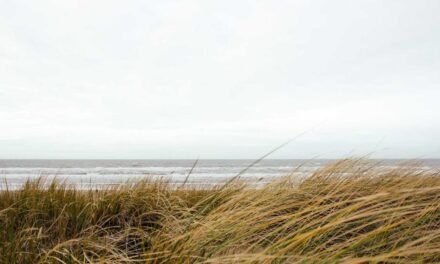 Molestiae molestiae eos minima