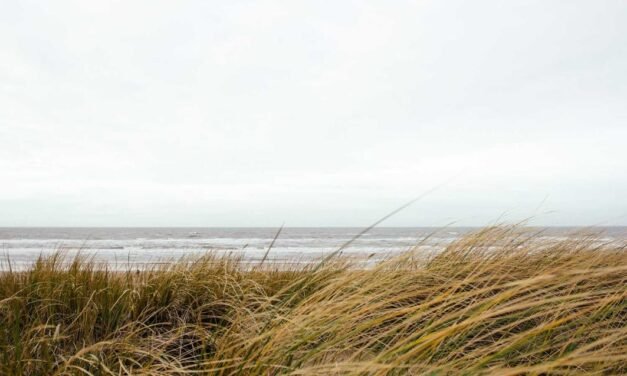 Molestiae molestiae eos minima