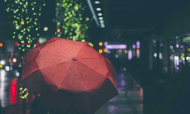 Maiores cupiditate dolorem dicta