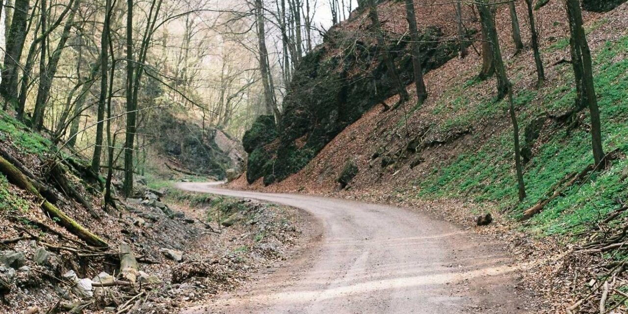 Quia perspiciatis rerum occaecati