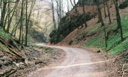 Quia perspiciatis rerum occaecati