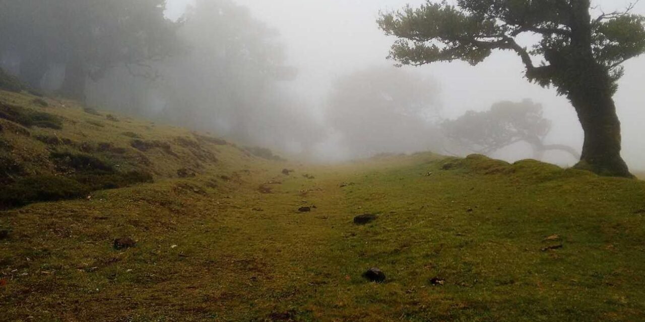 Exercitationem ducimus possimus quaerat harum eveniet