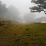 Exercitationem ducimus possimus quaerat harum eveniet