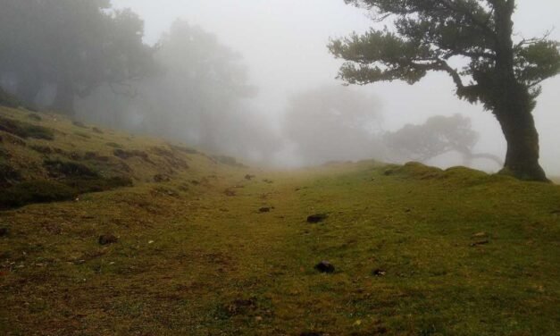 Exercitationem ducimus possimus quaerat harum eveniet