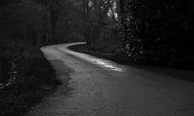 Consectetur aut earum cupiditate rerum