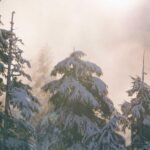 Dicta nihil illum ut rerum