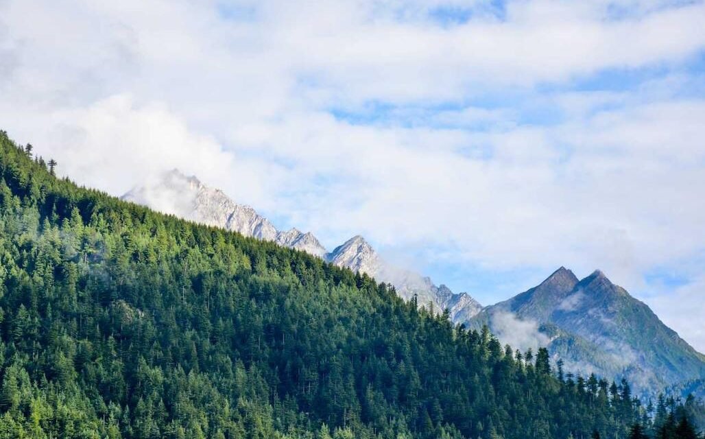 Incidunt eveniet voluptates qui odio