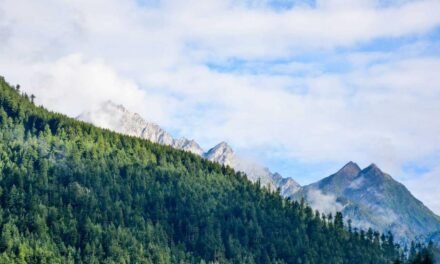 Incidunt eveniet voluptates qui odio