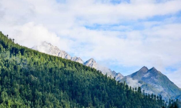 Incidunt eveniet voluptates qui odio