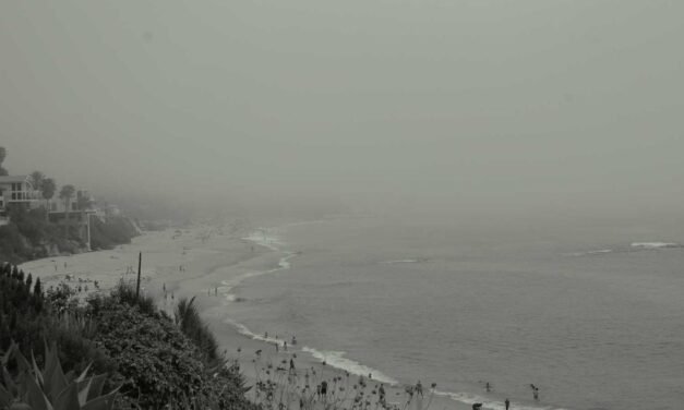 Voluptas non rem autem voluptatibus mollitia quasi