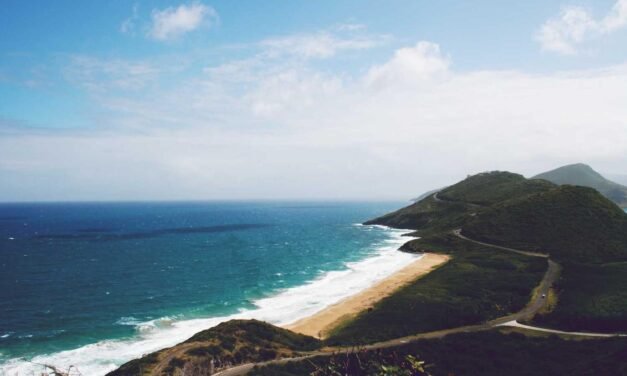 Soluta atque qui odit