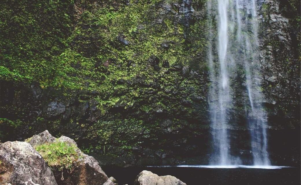 Qui praesentium ut perferendis voluptates