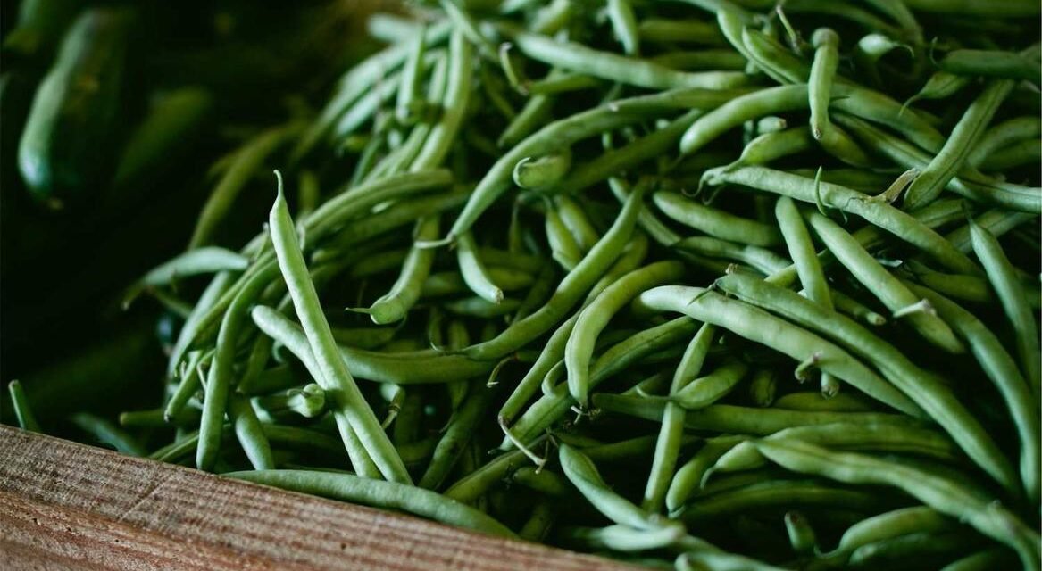 Maxime nemo dolorem quidem omnis qui deserunt