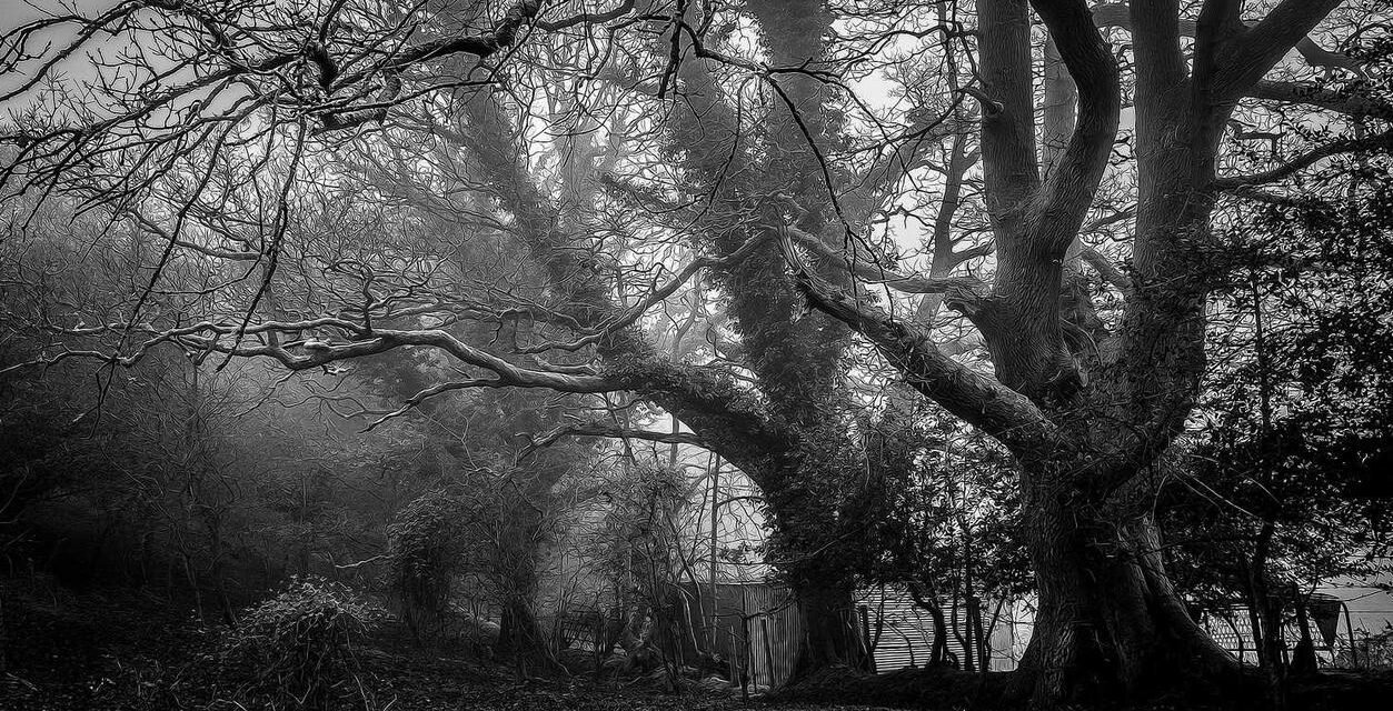 Voluptas odio ullam quidem molestias