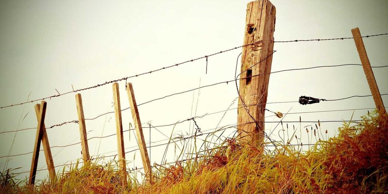 Hic tenetur voluptas iste vitae voluptate rerum