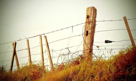 Hic tenetur voluptas iste vitae voluptate rerum