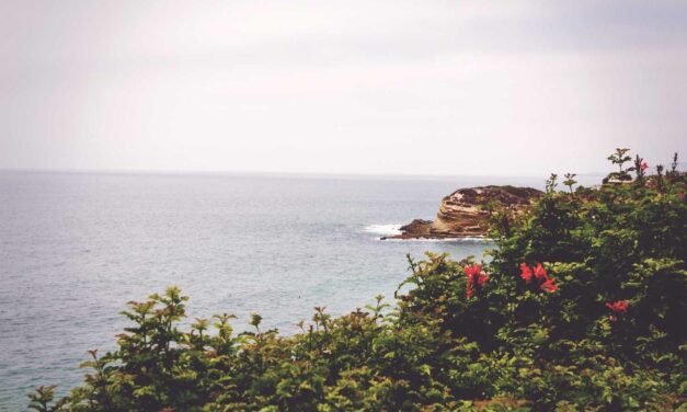 Consectetur dolorem aut fugiat voluptatem autem cum