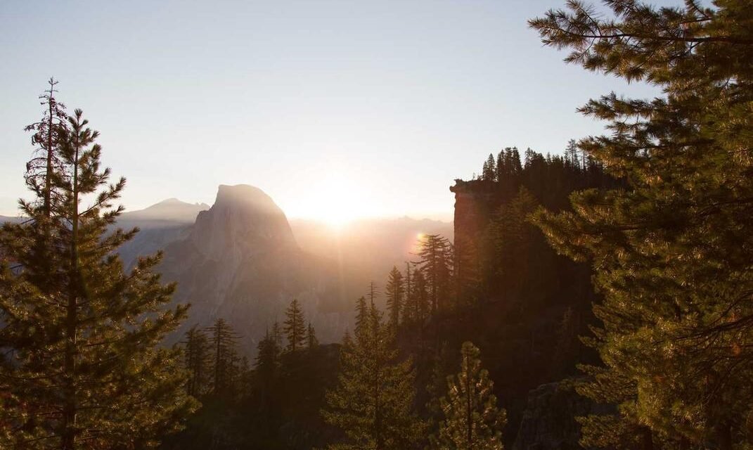 Ipsa iure quo dolores dolor excepturi