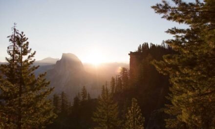 Ipsa iure quo dolores dolor excepturi